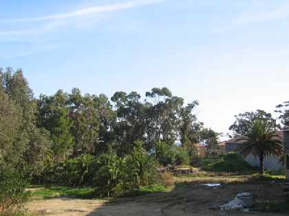 Site (1)